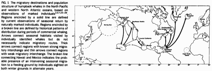 pacific and atlantic distribution